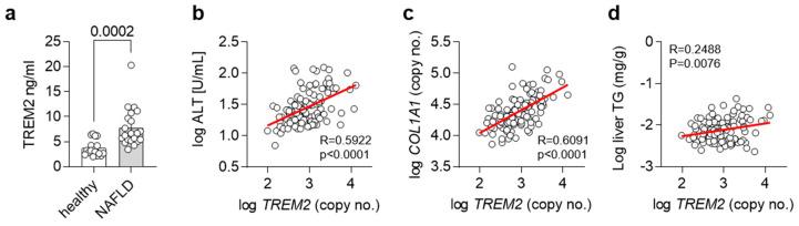 https://cdn.ncbi.nlm.nih.gov/pmc/blobs/d477/9913311/1d7a46b62647/cells-12-00341-g005.jpg