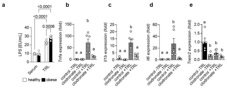 https://cdn.ncbi.nlm.nih.gov/pmc/blobs/d477/9913311/92b67241732d/cells-12-00341-g001.jpg