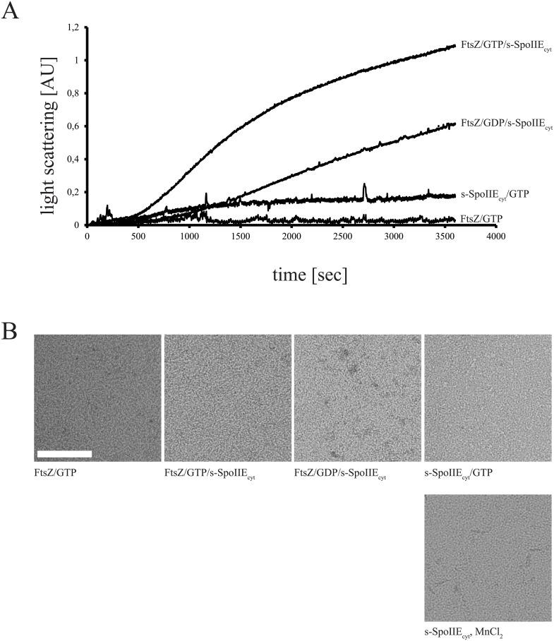 https://cdn.ncbi.nlm.nih.gov/pmc/blobs/d47d/5373596/670f8903a3f0/pone.0174713.g004.jpg