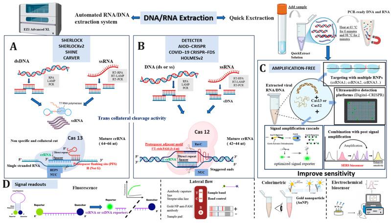https://cdn.ncbi.nlm.nih.gov/pmc/blobs/d47e/12190998/cfea9b364af9/biosensors-15-00379-g012.jpg