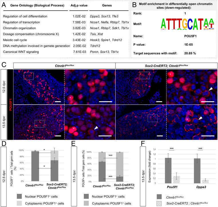 https://cdn.ncbi.nlm.nih.gov/pmc/blobs/d481/8325354/3ab8a0c7d481/pnas.2023376118fig04.jpg