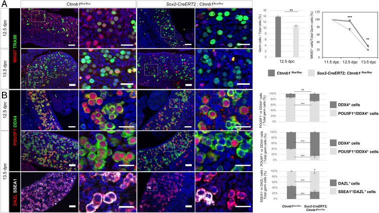https://cdn.ncbi.nlm.nih.gov/pmc/blobs/d481/8325354/e6bcbf8a9138/pnas.2023376118fig03.jpg