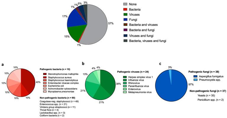 https://cdn.ncbi.nlm.nih.gov/pmc/blobs/d486/9179550/9a7262ac40fc/cancers-14-02773-g003.jpg
