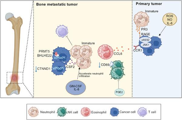 https://cdn.ncbi.nlm.nih.gov/pmc/blobs/d487/11492328/ef1feae1320b/CAC2-44-967-g002.jpg