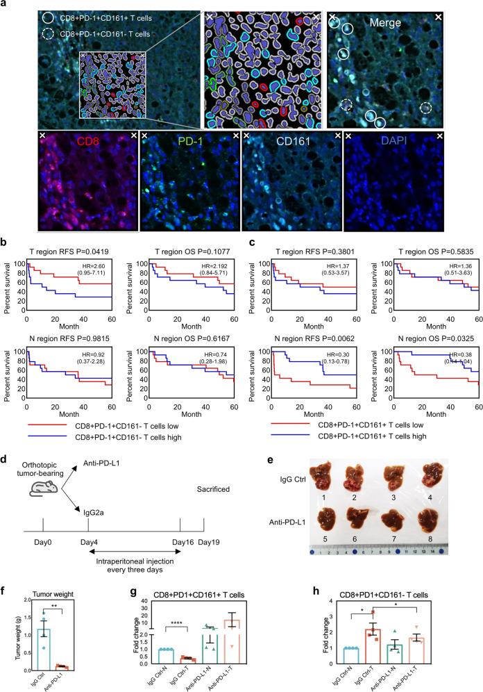 https://cdn.ncbi.nlm.nih.gov/pmc/blobs/d488/7599220/9d52211c9a00/41698_2020_133_Fig4_HTML.jpg