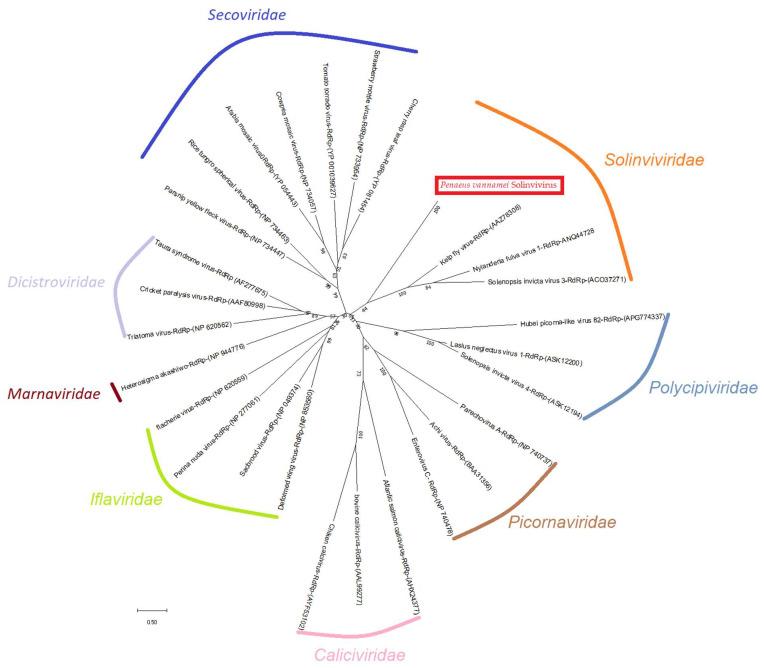 https://cdn.ncbi.nlm.nih.gov/pmc/blobs/d488/9610163/e2e1e0f524a2/viruses-14-02220-g002.jpg