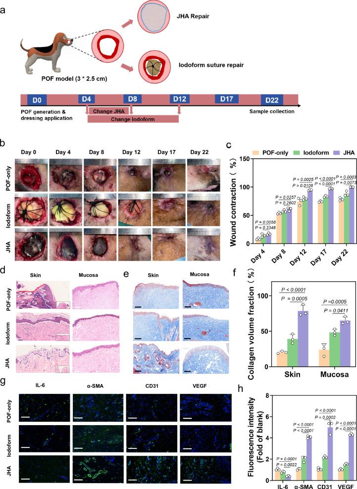 https://cdn.ncbi.nlm.nih.gov/pmc/blobs/d489/11686397/77708c4d1a12/41467_2024_55303_Fig8_HTML.jpg