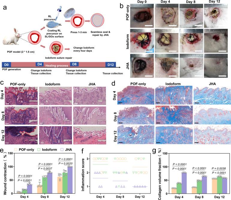 https://cdn.ncbi.nlm.nih.gov/pmc/blobs/d489/11686397/95f43406b60e/41467_2024_55303_Fig6_HTML.jpg