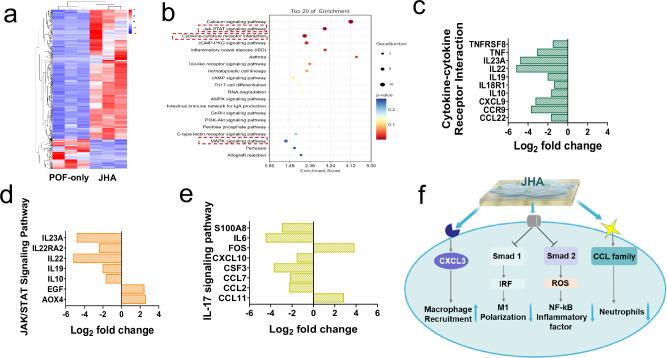 https://cdn.ncbi.nlm.nih.gov/pmc/blobs/d489/11686397/ad632fbc90e8/41467_2024_55303_Fig9_HTML.jpg
