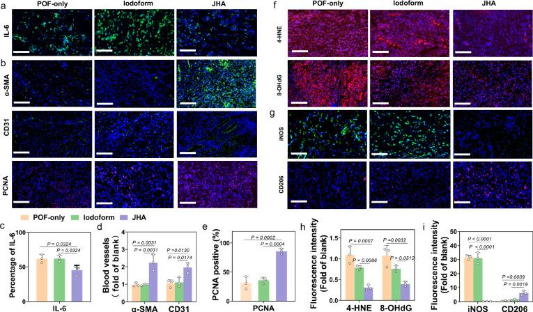 https://cdn.ncbi.nlm.nih.gov/pmc/blobs/d489/11686397/b179dda639c5/41467_2024_55303_Fig7_HTML.jpg