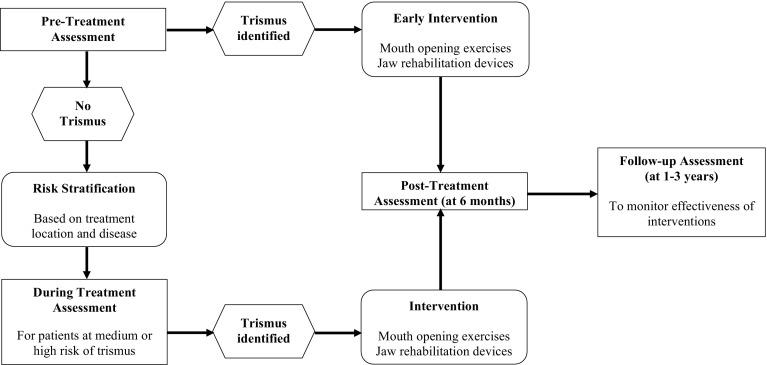https://cdn.ncbi.nlm.nih.gov/pmc/blobs/d489/5486547/9138a4d10c1c/405_2017_4519_Fig2_HTML.jpg
