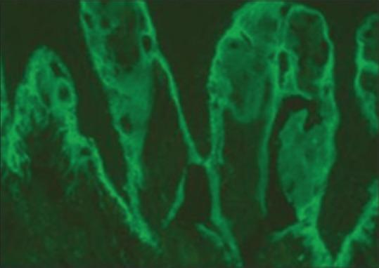 https://cdn.ncbi.nlm.nih.gov/pmc/blobs/d489/6482806/b40972c9b600/JFMPC-8-1269-g003.jpg