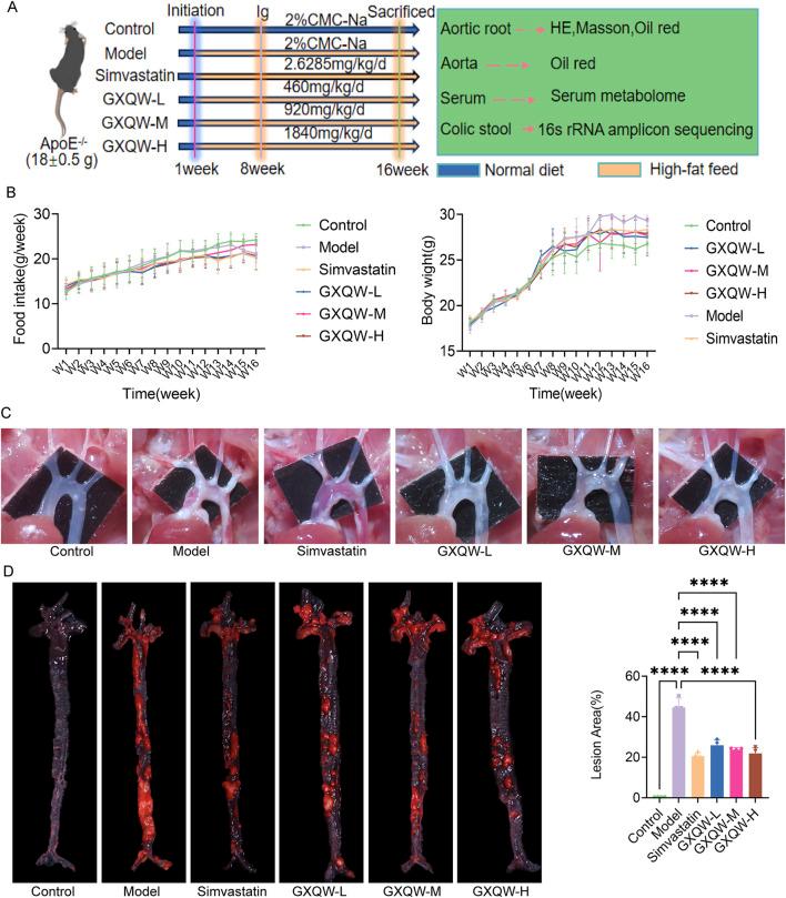 https://cdn.ncbi.nlm.nih.gov/pmc/blobs/d48b/12260407/2dc4600158cd/fphar-16-1633862-g004.jpg