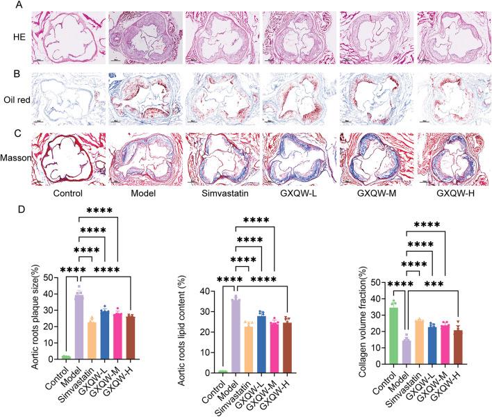 https://cdn.ncbi.nlm.nih.gov/pmc/blobs/d48b/12260407/471727eaf9a0/fphar-16-1633862-g005.jpg