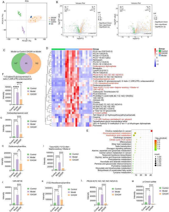https://cdn.ncbi.nlm.nih.gov/pmc/blobs/d48b/12260407/482e1ebb3e69/fphar-16-1633862-g008.jpg