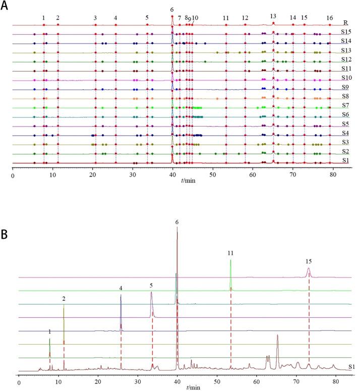 https://cdn.ncbi.nlm.nih.gov/pmc/blobs/d48b/12260407/b519caf44f09/fphar-16-1633862-g003.jpg