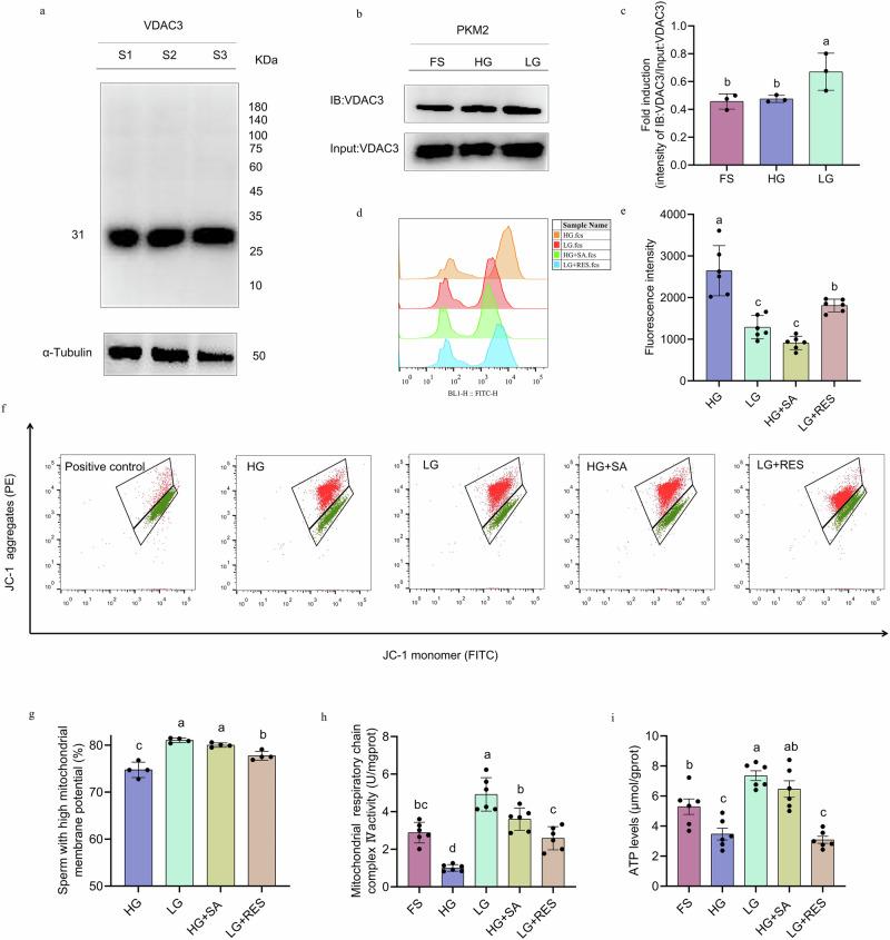 https://cdn.ncbi.nlm.nih.gov/pmc/blobs/d48b/12398606/ea692eb3989c/42003_2025_8775_Fig5_HTML.jpg
