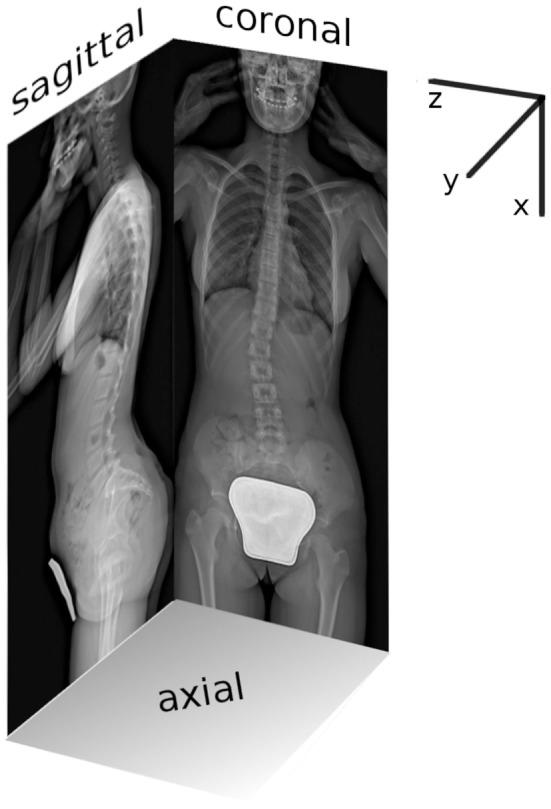 https://cdn.ncbi.nlm.nih.gov/pmc/blobs/d48c/5247473/c8c8451858e8/fbioe-05-00001-g001.jpg