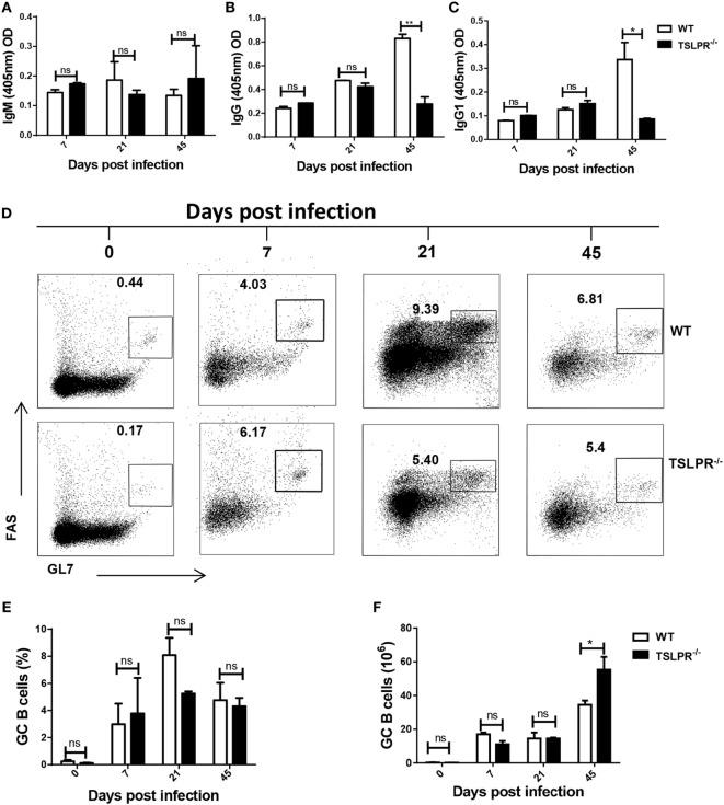 https://cdn.ncbi.nlm.nih.gov/pmc/blobs/d48d/5509795/833ea5393d94/fimmu-08-00803-g002.jpg