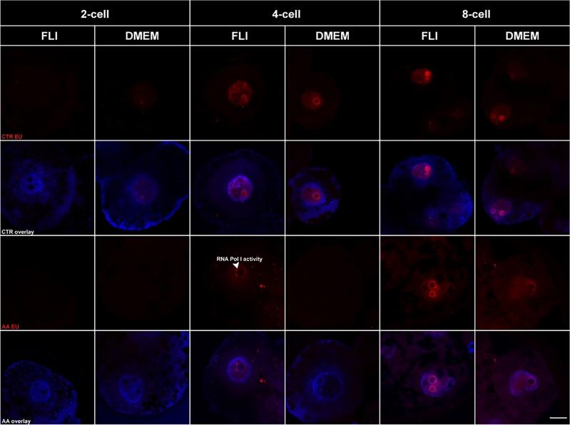 https://cdn.ncbi.nlm.nih.gov/pmc/blobs/d48e/10963758/a755b0b257fd/41598_2024_57865_Fig4_HTML.jpg