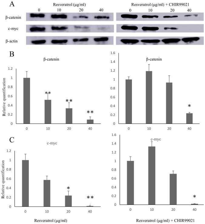 https://cdn.ncbi.nlm.nih.gov/pmc/blobs/d490/6396019/113682f3cd93/etm-17-03-2242-g02.jpg