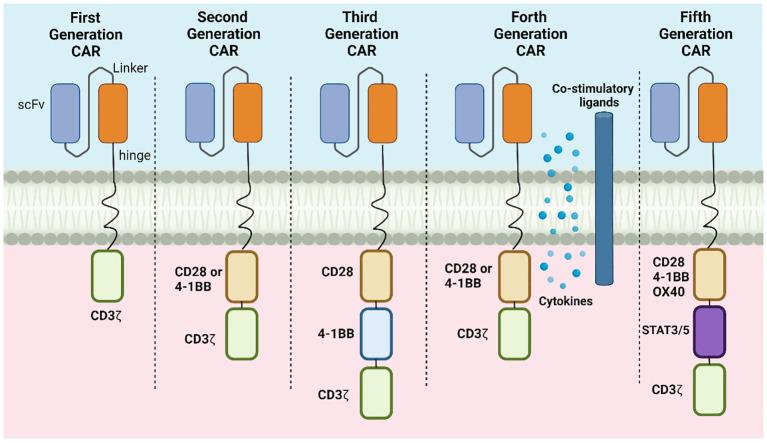 https://cdn.ncbi.nlm.nih.gov/pmc/blobs/d491/11196618/07b5a8122953/fonc-14-1399544-g003.jpg