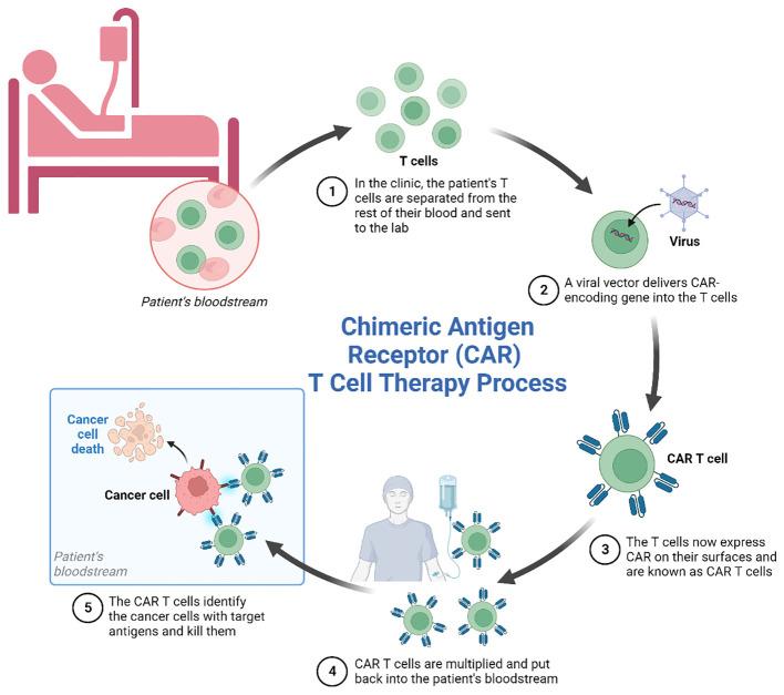 https://cdn.ncbi.nlm.nih.gov/pmc/blobs/d491/11196618/1e67d3e38945/fonc-14-1399544-g001.jpg