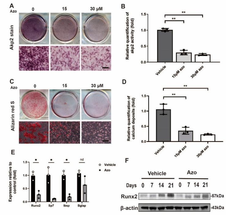 https://cdn.ncbi.nlm.nih.gov/pmc/blobs/d491/11923014/5d74cb40bccb/13577_2025_1192_Fig2_HTML.jpg