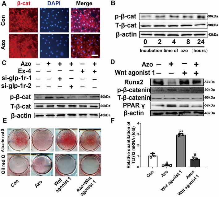 https://cdn.ncbi.nlm.nih.gov/pmc/blobs/d491/11923014/dc0bd0cd17ac/13577_2025_1192_Fig7_HTML.jpg