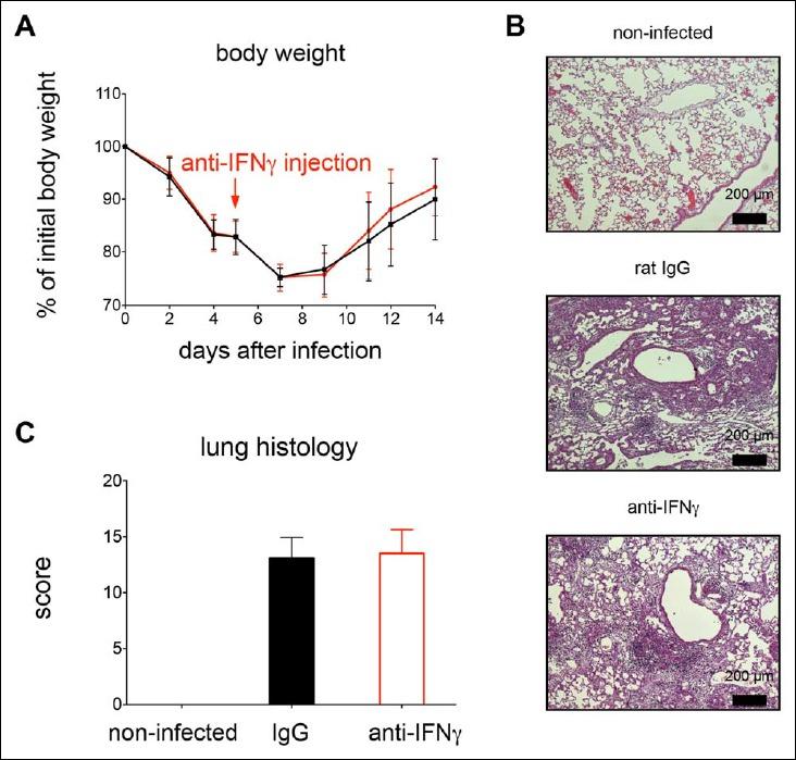 https://cdn.ncbi.nlm.nih.gov/pmc/blobs/d492/4681352/7f77b4e490e0/eujmi-05-246-g009.jpg