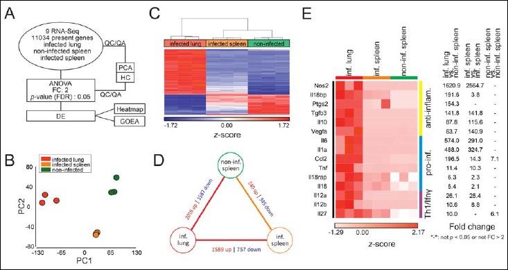 https://cdn.ncbi.nlm.nih.gov/pmc/blobs/d492/4681352/db4f4575266b/eujmi-05-246-g004.jpg