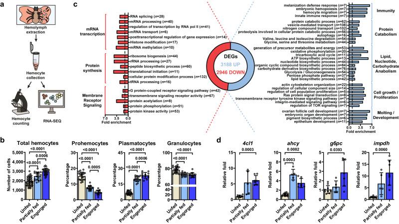 https://cdn.ncbi.nlm.nih.gov/pmc/blobs/d493/10923820/7f7458cc2488/41467_2024_46494_Fig1_HTML.jpg