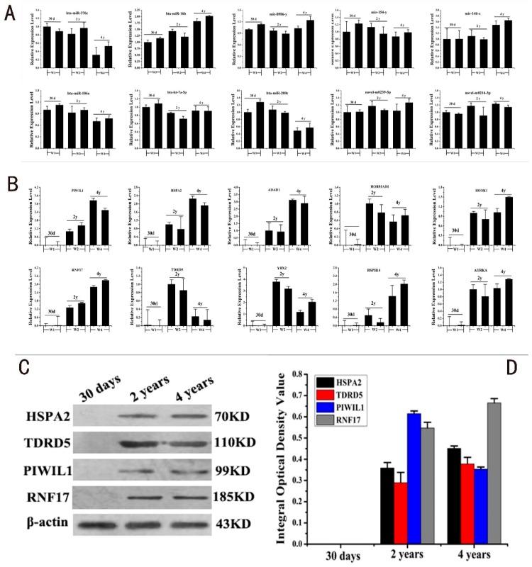 https://cdn.ncbi.nlm.nih.gov/pmc/blobs/d493/6213350/3f93a22425dd/ijms-19-03083-g004.jpg