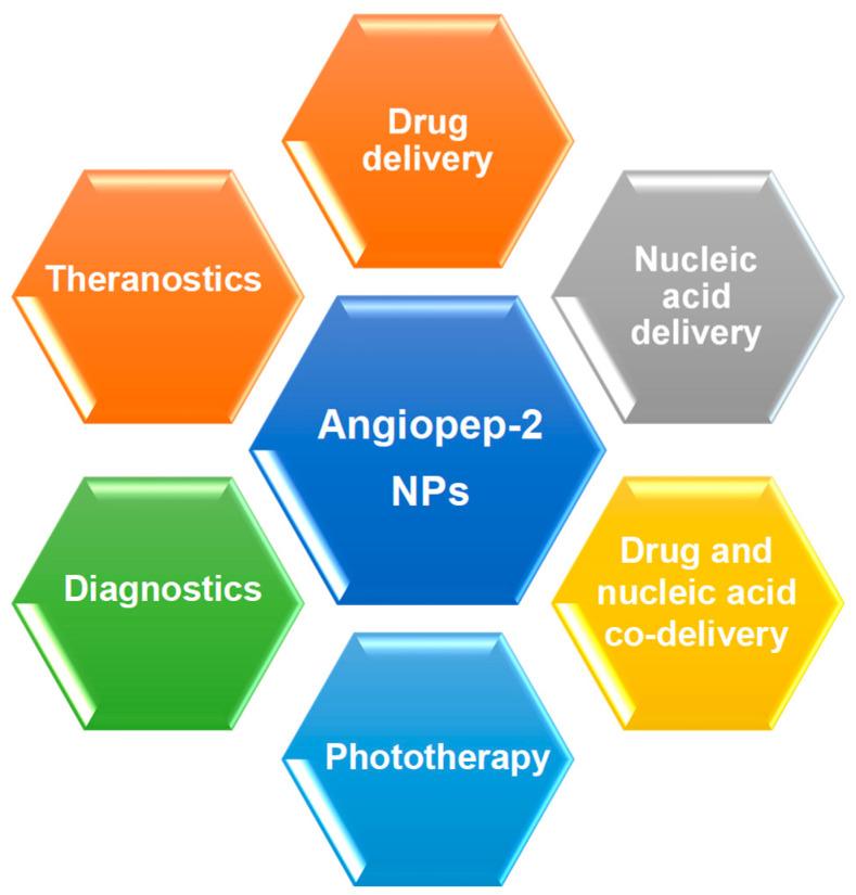 https://cdn.ncbi.nlm.nih.gov/pmc/blobs/d494/8878382/67f254de230d/polymers-14-00712-g002.jpg