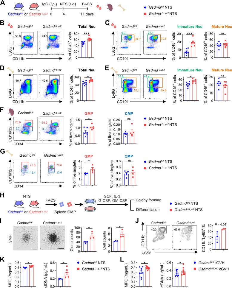 https://cdn.ncbi.nlm.nih.gov/pmc/blobs/d497/11149269/3ffcc7dd6611/12964_2024_1681_Fig4_HTML.jpg