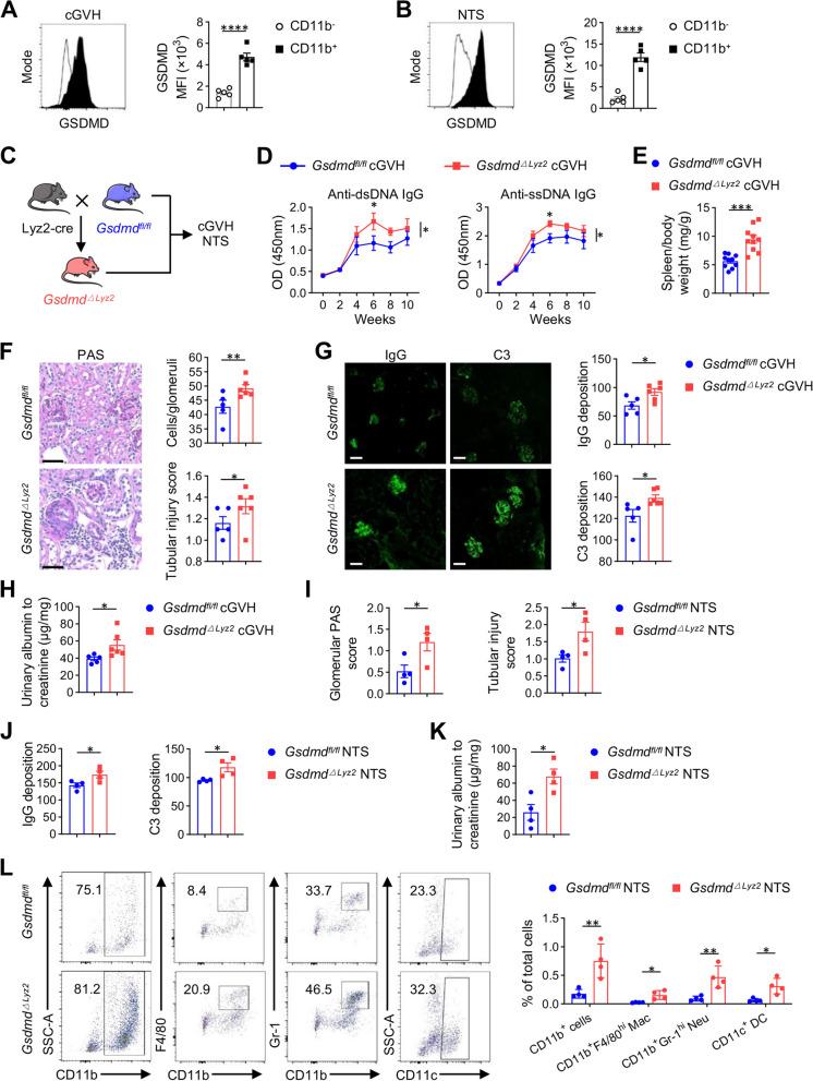 https://cdn.ncbi.nlm.nih.gov/pmc/blobs/d497/11149269/8398011b4c45/12964_2024_1681_Fig2_HTML.jpg