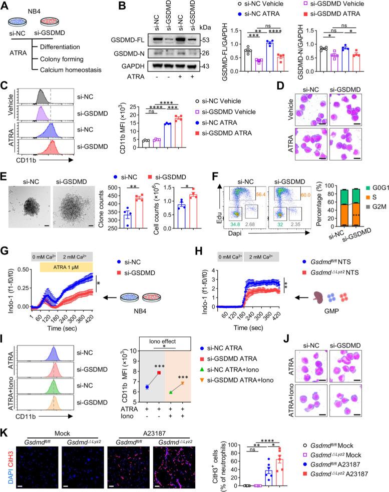 https://cdn.ncbi.nlm.nih.gov/pmc/blobs/d497/11149269/e2f29db7b8b9/12964_2024_1681_Fig5_HTML.jpg