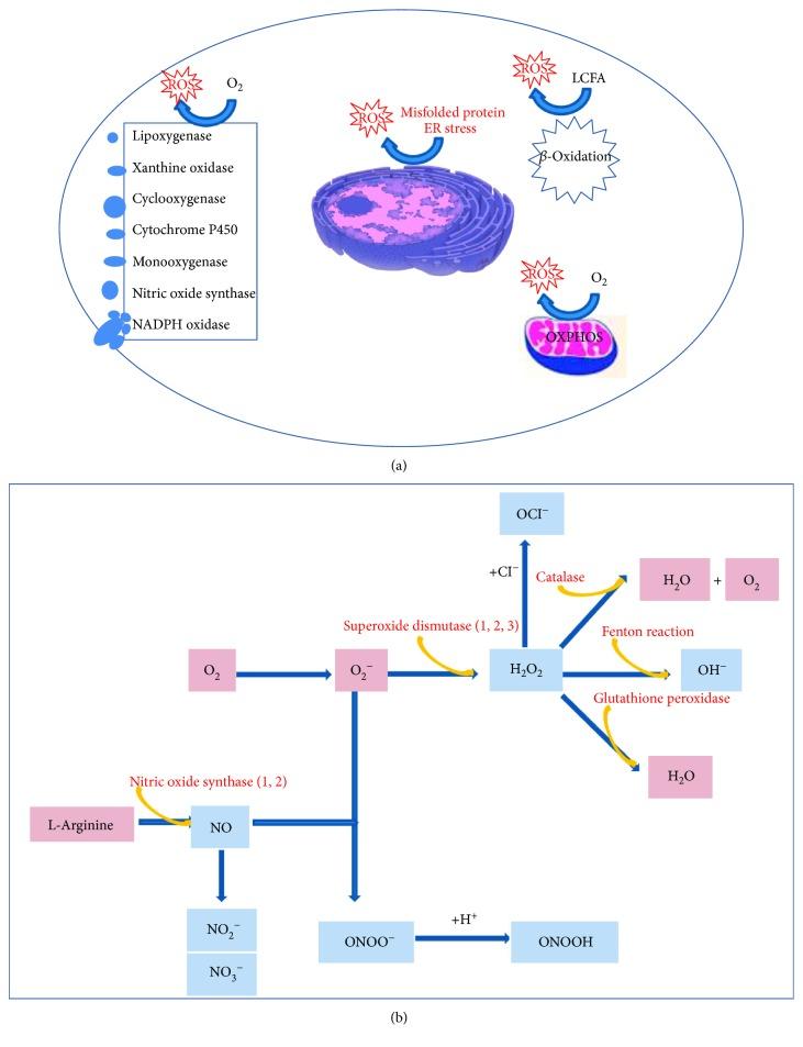 https://cdn.ncbi.nlm.nih.gov/pmc/blobs/d497/5828476/74f0a3ca9b18/OMCL2018-3075293.002.jpg