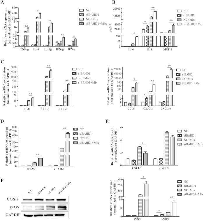 https://cdn.ncbi.nlm.nih.gov/pmc/blobs/d498/4505333/5c33f0bb50a8/srep12227-f4.jpg