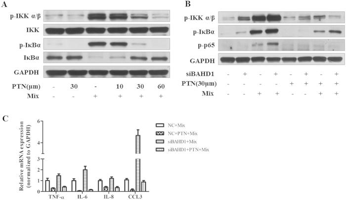 https://cdn.ncbi.nlm.nih.gov/pmc/blobs/d498/4505333/a70cec0ccb73/srep12227-f6.jpg