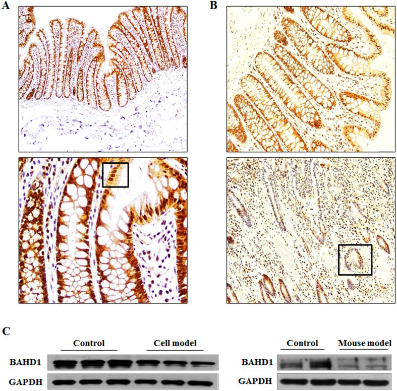 https://cdn.ncbi.nlm.nih.gov/pmc/blobs/d498/4505333/b0a2521a3b63/srep12227-f3.jpg