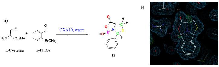 https://cdn.ncbi.nlm.nih.gov/pmc/blobs/d499/11547293/1aabc444571f/molecules-29-04998-g002.jpg