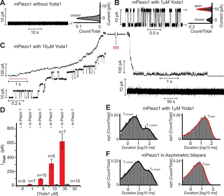 https://cdn.ncbi.nlm.nih.gov/pmc/blobs/d49a/4456433/879a928904c5/elife07369f003.jpg