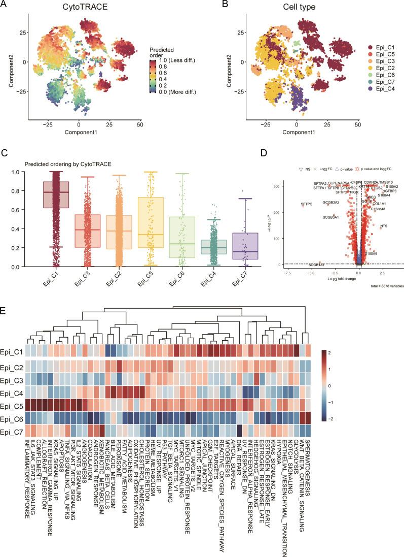 https://cdn.ncbi.nlm.nih.gov/pmc/blobs/d49d/11847374/81b2a9cf8ddc/12967_2025_6243_Fig2_HTML.jpg