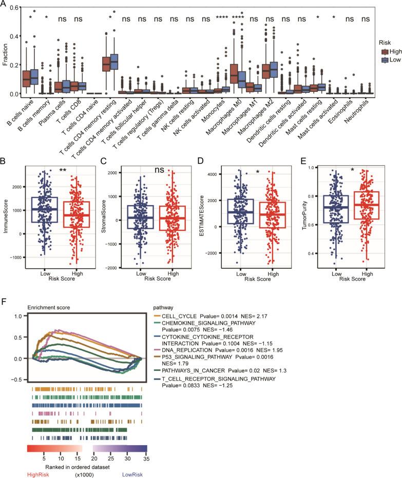 https://cdn.ncbi.nlm.nih.gov/pmc/blobs/d49d/11847374/a0632205f0cd/12967_2025_6243_Fig4_HTML.jpg