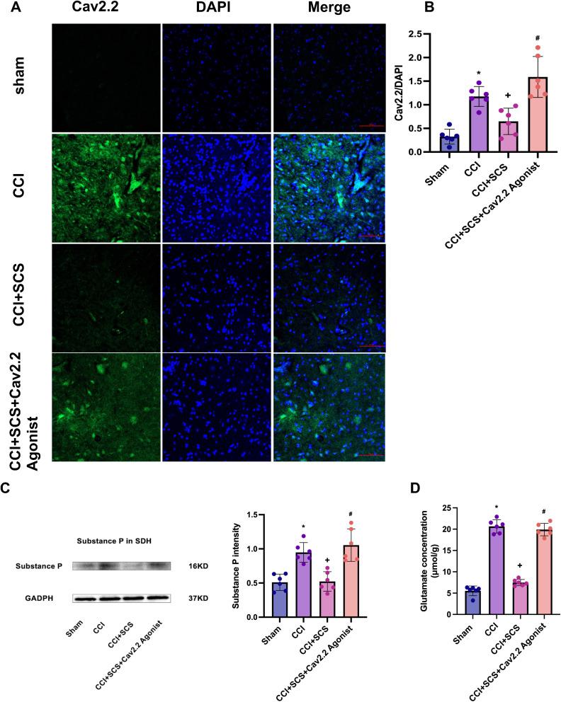 https://cdn.ncbi.nlm.nih.gov/pmc/blobs/d49d/12149277/411a1b9fb90c/JPR-18-2775-g0006.jpg