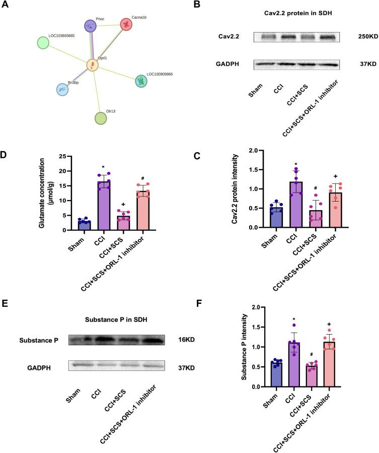 https://cdn.ncbi.nlm.nih.gov/pmc/blobs/d49d/12149277/71785a069055/JPR-18-2775-g0008.jpg