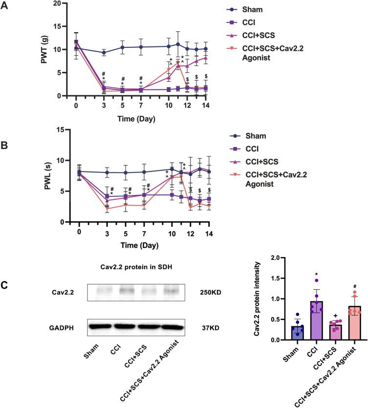 https://cdn.ncbi.nlm.nih.gov/pmc/blobs/d49d/12149277/7c39774959d1/JPR-18-2775-g0005.jpg