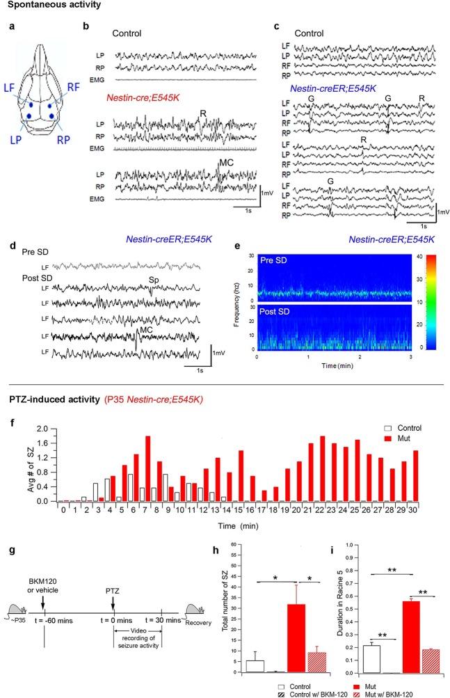 https://cdn.ncbi.nlm.nih.gov/pmc/blobs/d49d/4744197/d2cd554c0cc8/elife-12703-fig7.jpg