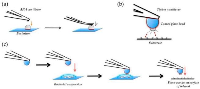 https://cdn.ncbi.nlm.nih.gov/pmc/blobs/d49d/7922637/07aa61cfb0ca/polymers-13-00613-g014.jpg